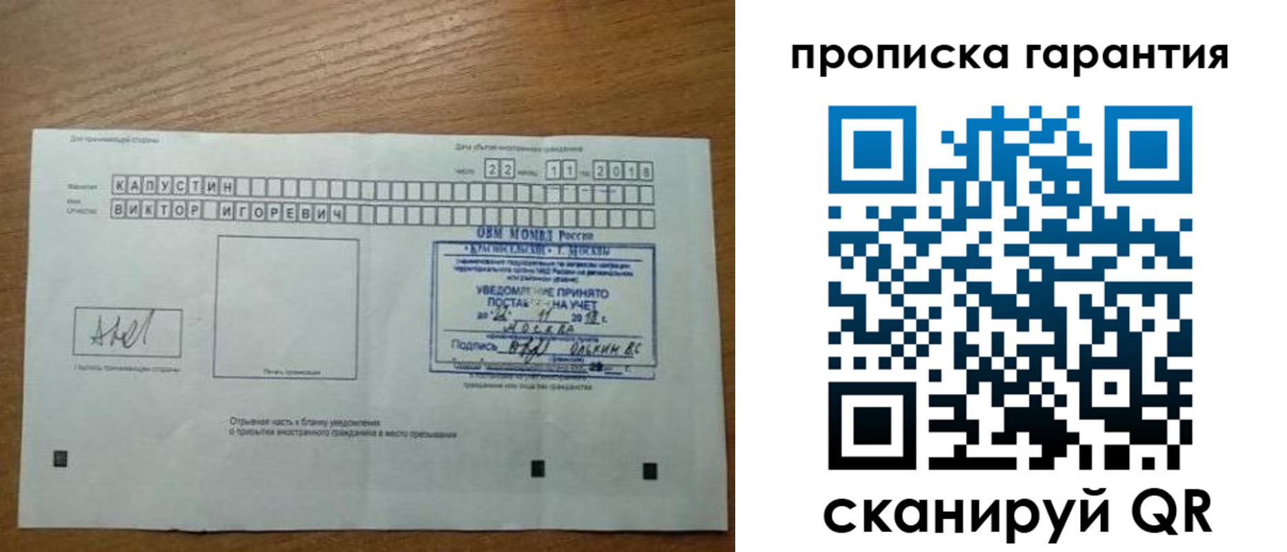 прописка законно в Оленегорске